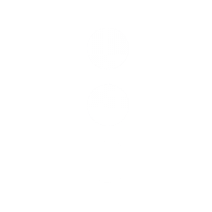 Image module